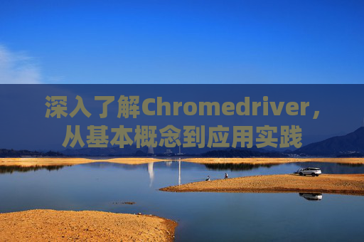 深入了解Chromedriver,从基本概念到应用实践 深入了解Chromedriver,从基本概念到应用实践